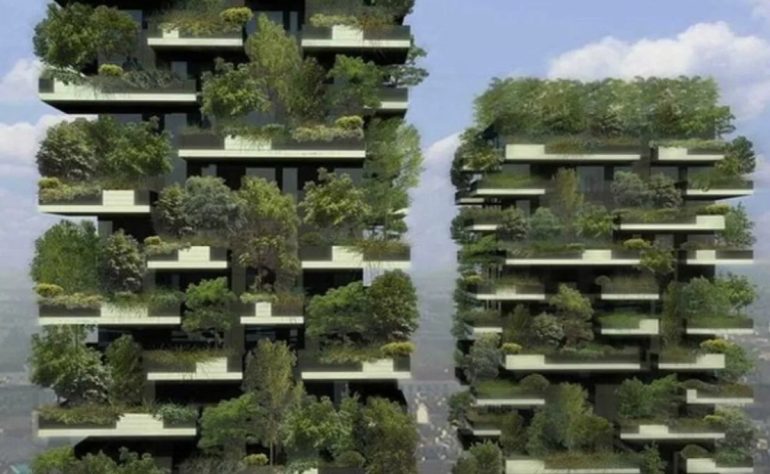 Деревья на фасадах домов